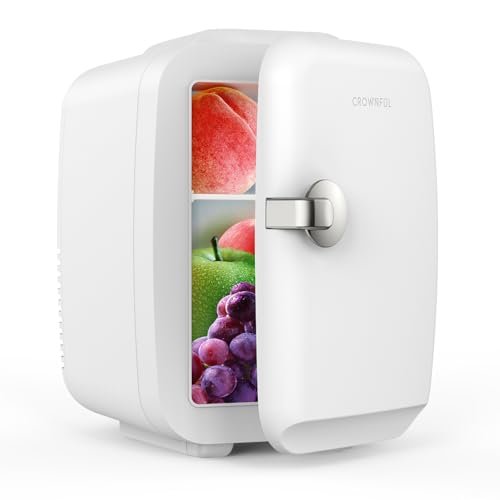 Best Skincare Fridge