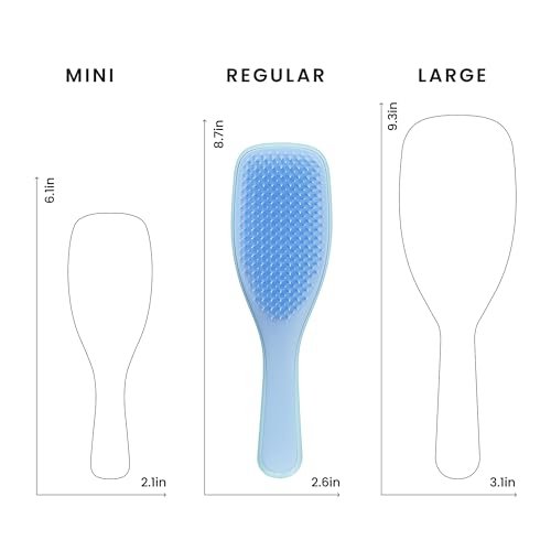 Best Detangling Brush