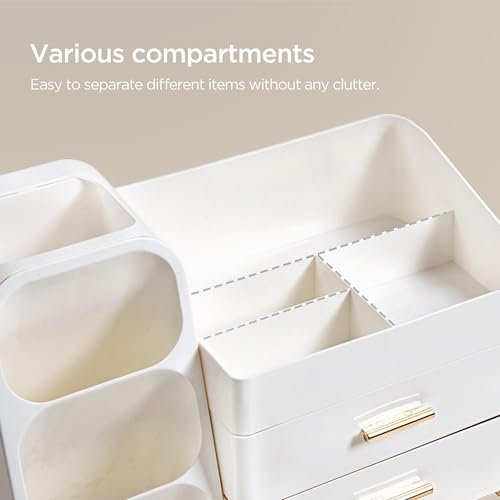 Best Cosmetic Organizer