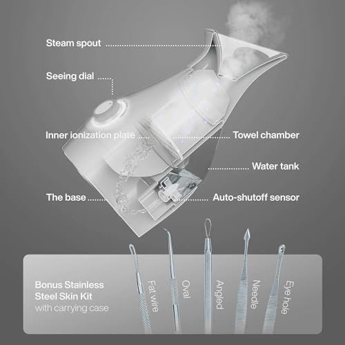 Best Nano Facial Steamer