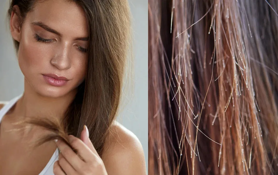 Dry & Damaged Hair: Deep Conditioning Time