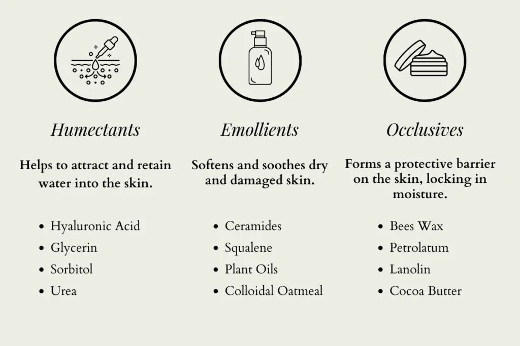 Key Ingredients for Beating Dry Skin
