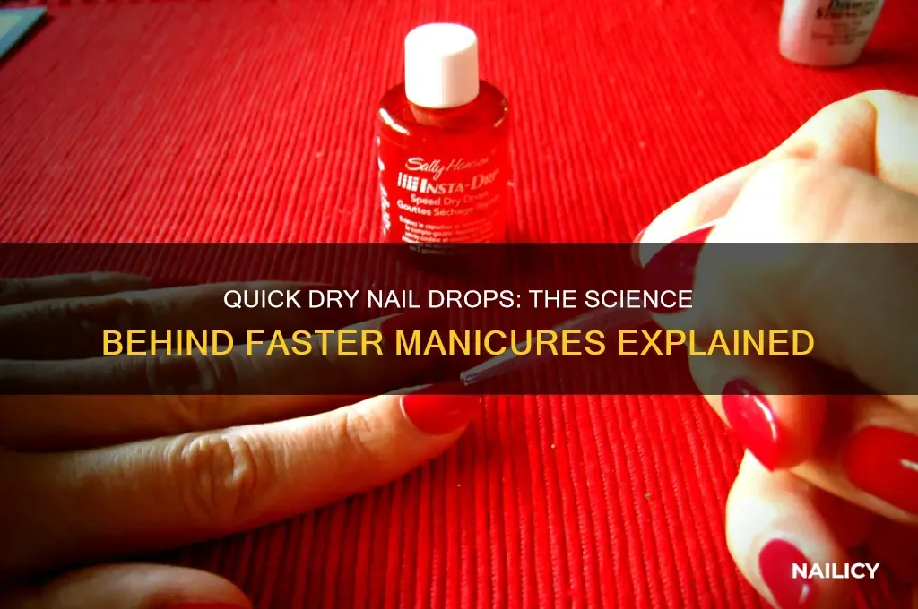 Quick-Dry Products: Drops, Sprays, and Top Coats