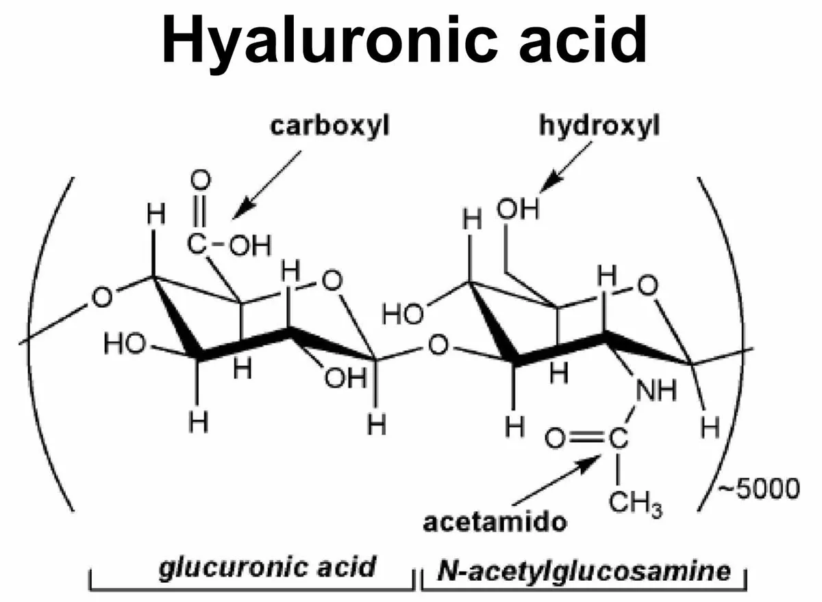 The Power of Hyaluronic Acid and Glycerin