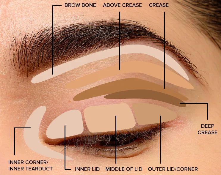 Your Step-by-Step Guide to Effortless Eyeshadow